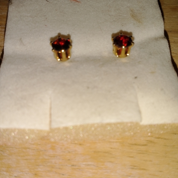 Earnings - Picture 8 of 12